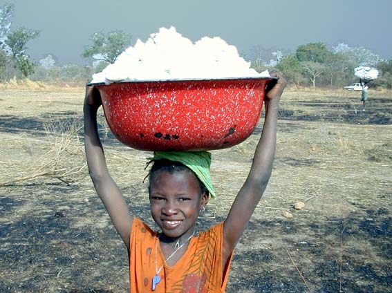 Fillette transportant du Coton (Burkina)