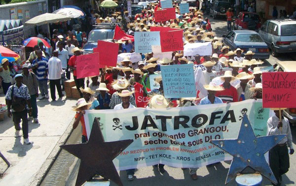En Haïti, une manisfestation de paysans pour la souveraineté alimentaire et contre la culture du jatropha