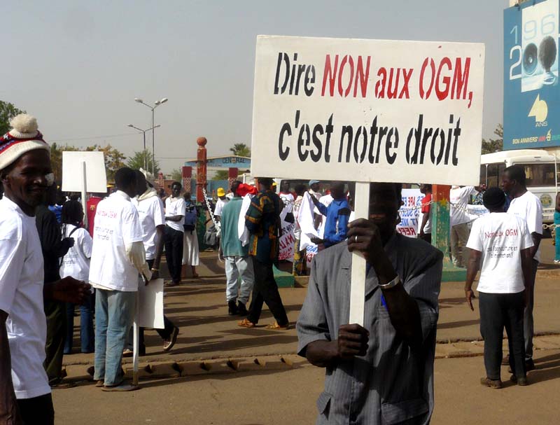 Manifestation à Ouaga contre les OGM