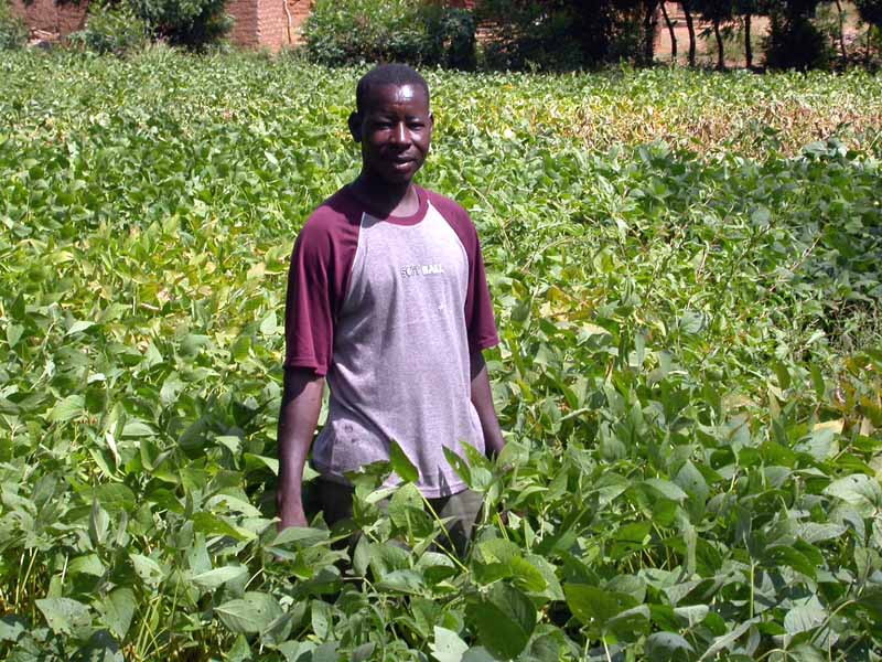 Un paysan de Boni fier de son champ de soja