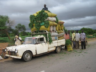 Camion rempli de feuilles de Moringa au Niger