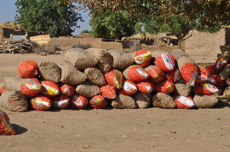 Cette année, ces sacs de 120 kg d'oignons se négociaient autour de 5 000 FCFA
