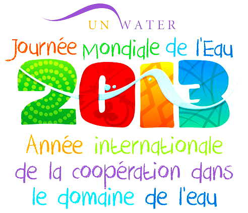 Logo Journée internationale de l'eau 2013